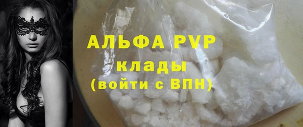 apvp Горняк