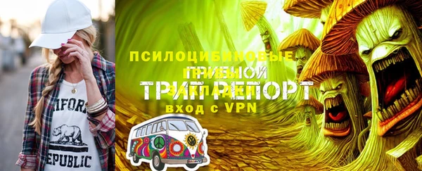 дмт Горнозаводск