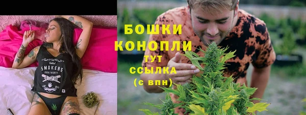 дмт Горнозаводск