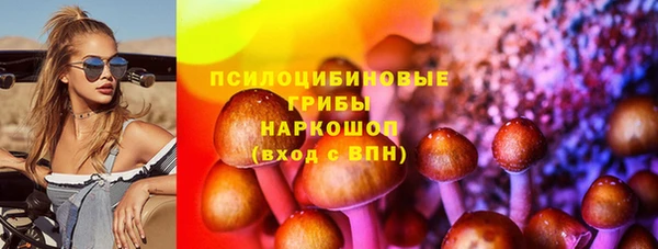 apvp Горняк