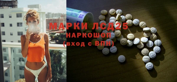 apvp Горняк