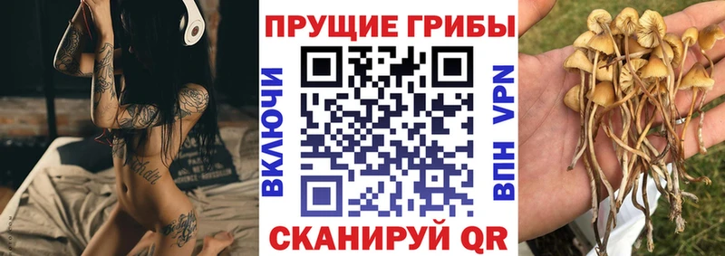 Псилоцибиновые грибы прущие грибы  дарк нет телеграм  Учалы 